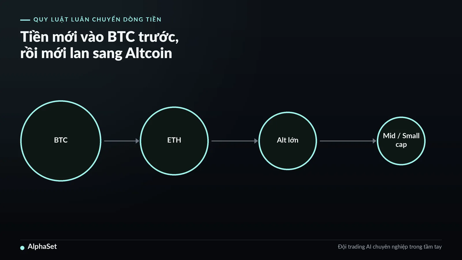 33-tai-sao-btc-dan-dat-altcoin_img1