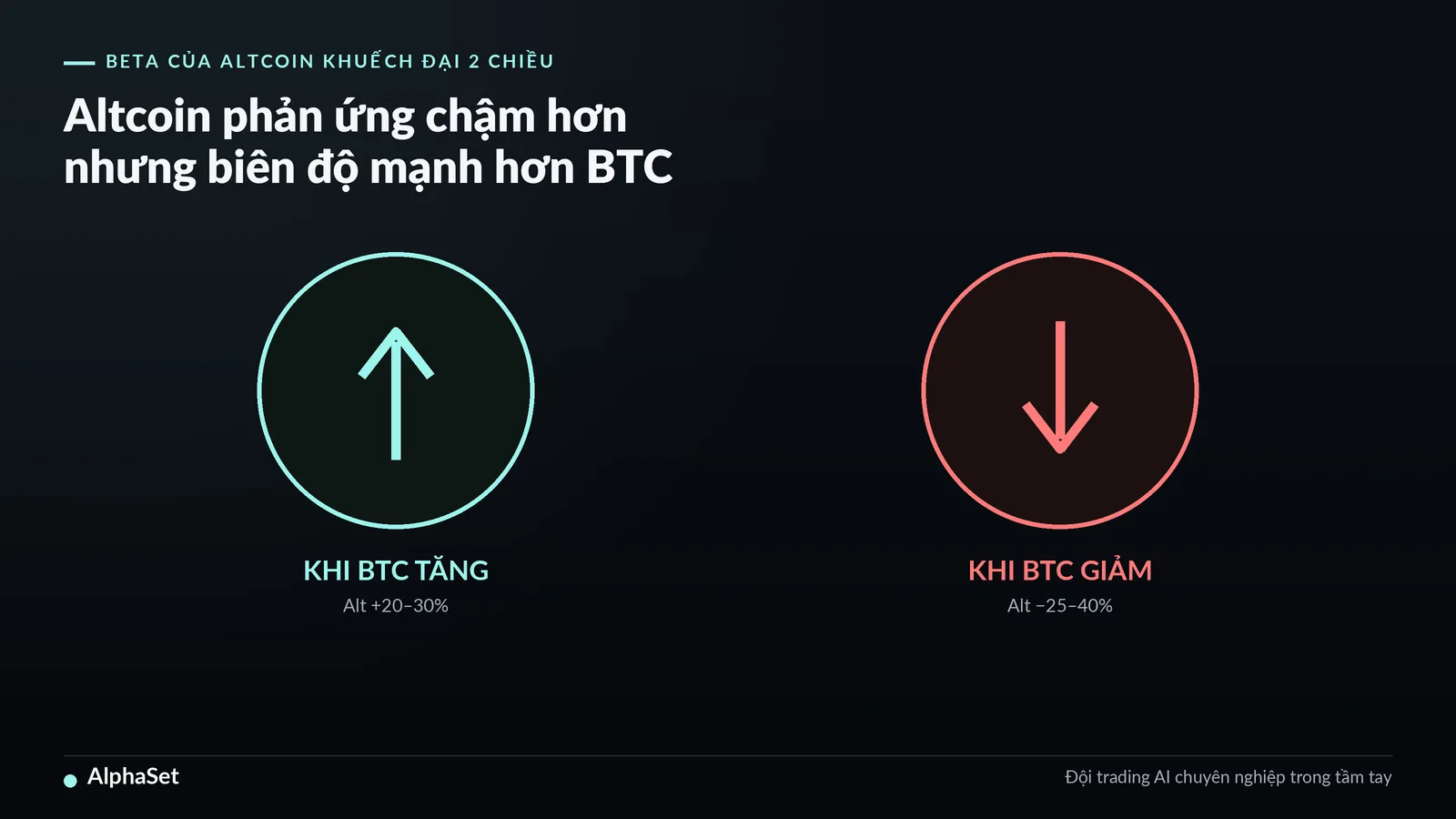 33-tai-sao-btc-dan-dat-altcoin_img2
